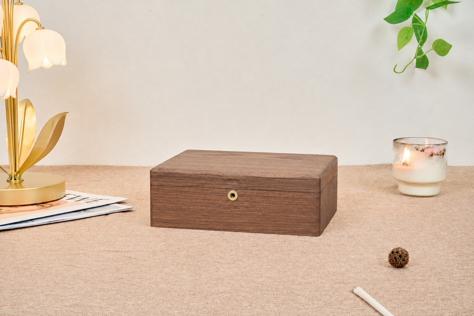Lockable Walnut Jewelry Box with Necklace Hooks & Ring Storage 1