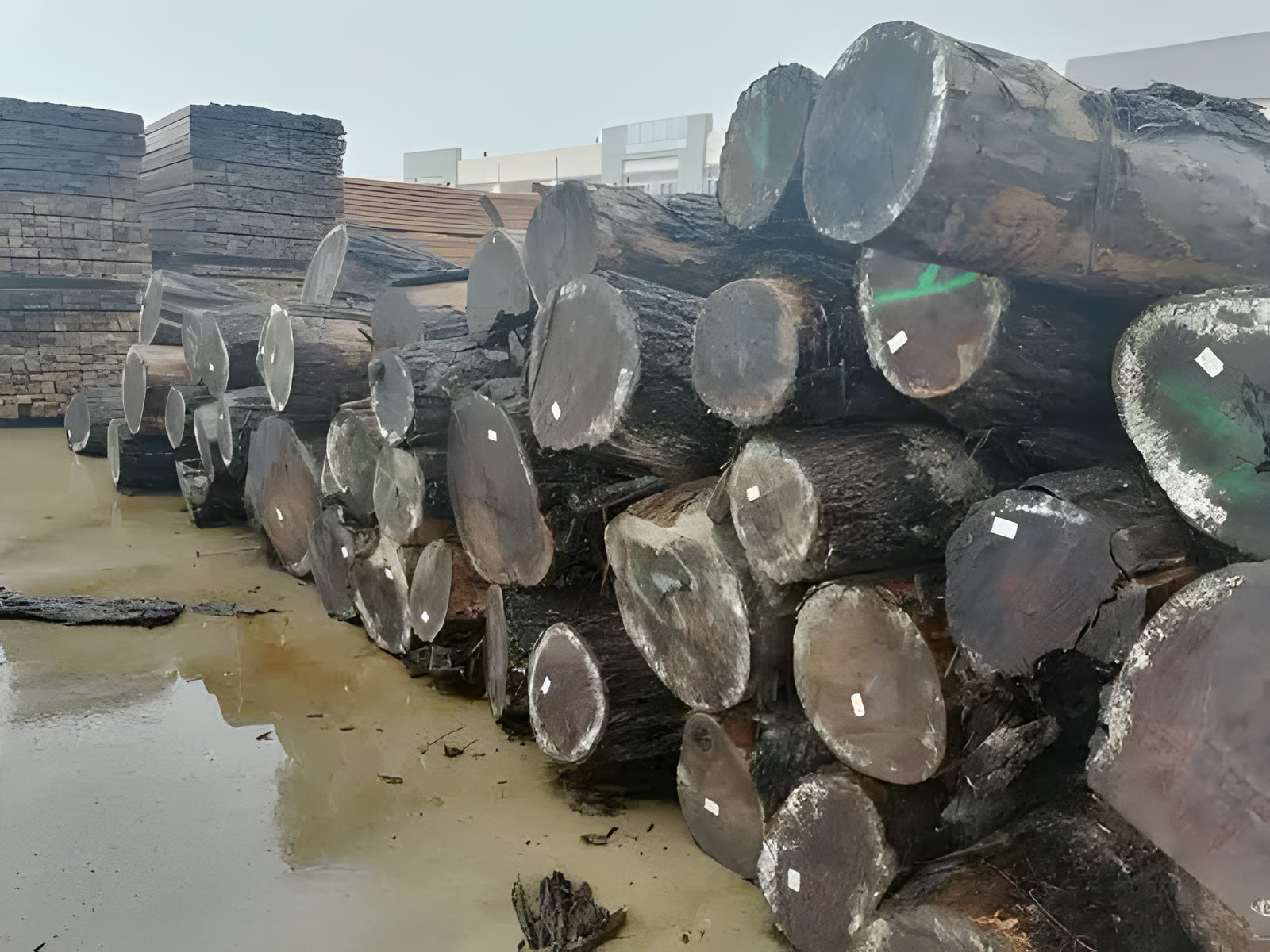 Walnut lumber prepared for woodworking